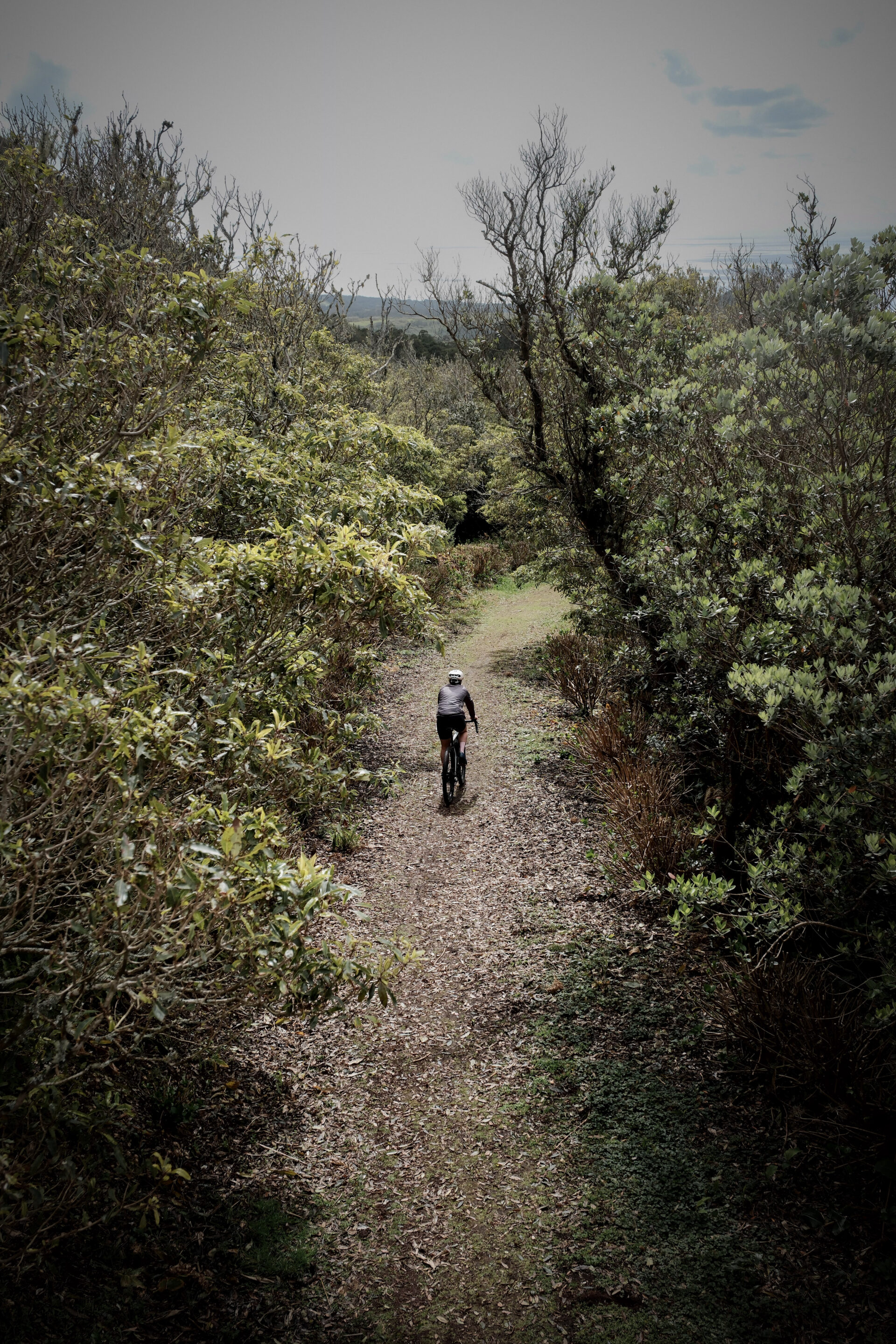 Fogo Gravel